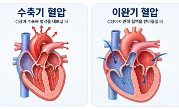혈압 정상수치 나이별 기준, 20대부터 70대 이상 고혈압 범위까지