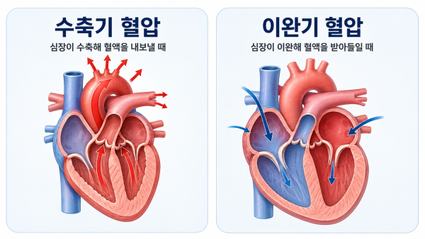 수축기 혈압과 이완기 혈압의 차이